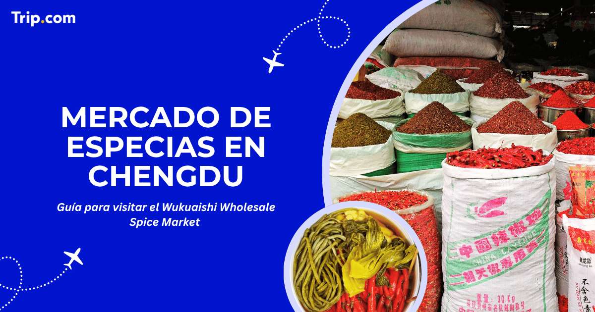 Mercado de Especias y Té en Chengdu: Guía de Wukuaishi