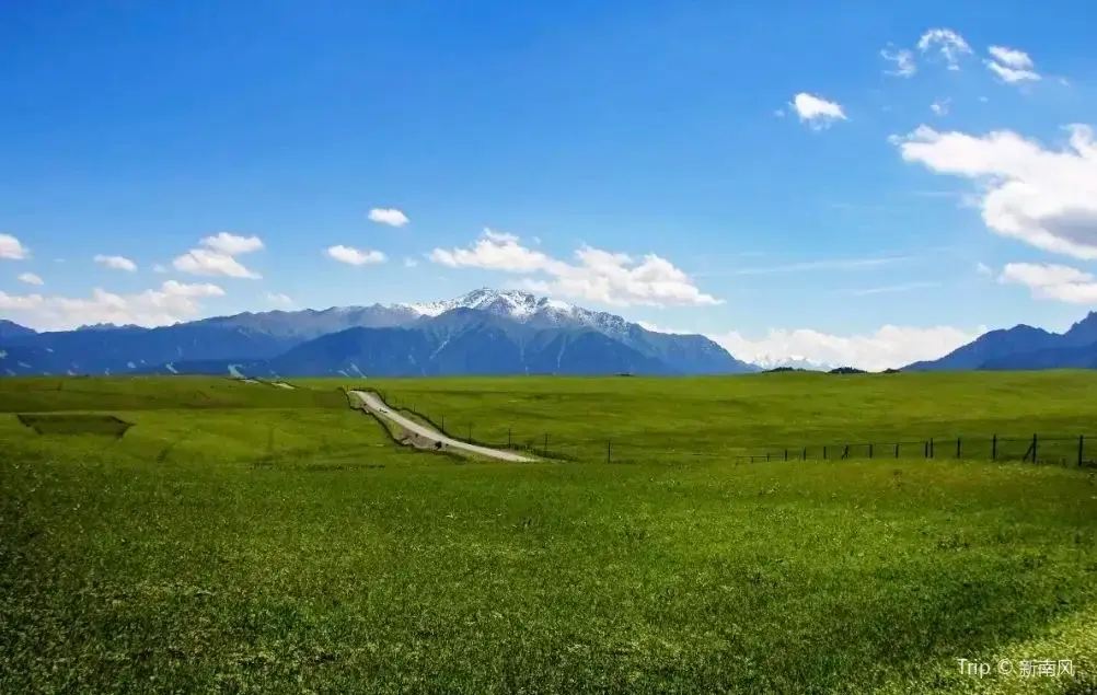 烏魯木齊南山牧場+西白楊溝+烏拉斯台一日遊