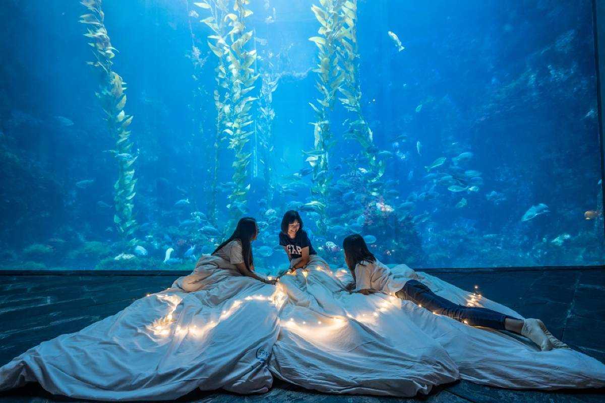 墾丁凱撒大飯店附近景點 台灣海洋生物博物館