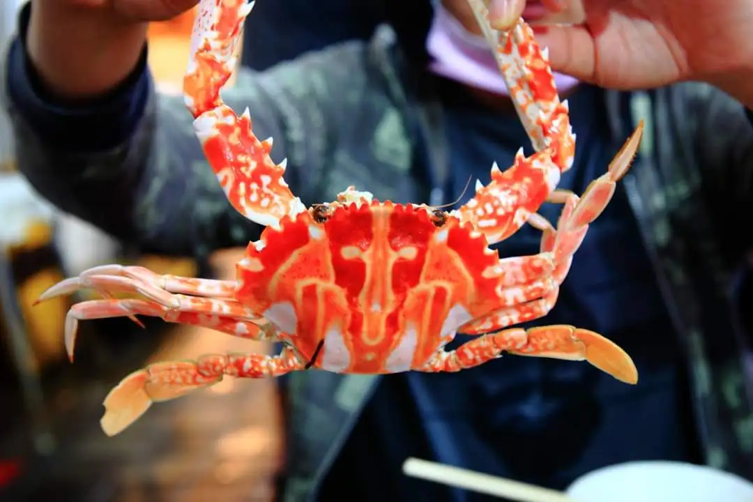 野柳地質公園, 美食, 龜吼漁港