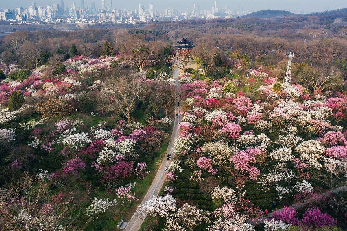 ภูเขาจงซาน