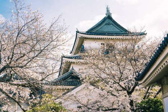 Wakayama Transportation | Wakayama Castle
