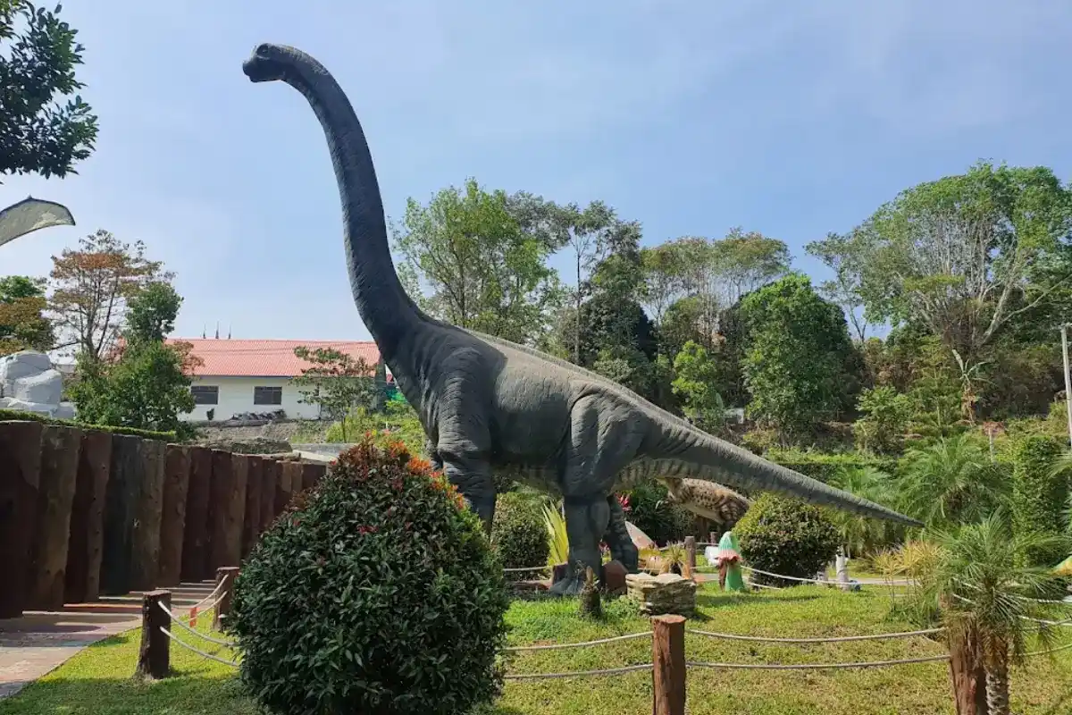 Amazing Dinosaur เขาค้อ