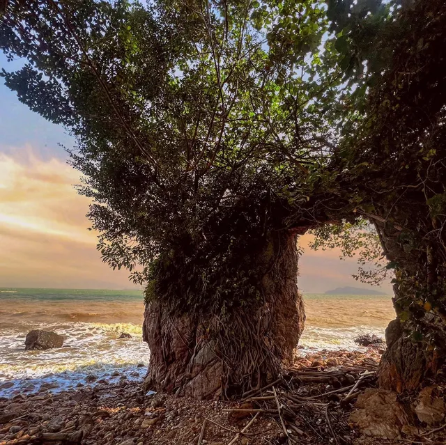 ประตูมหาสมุทร