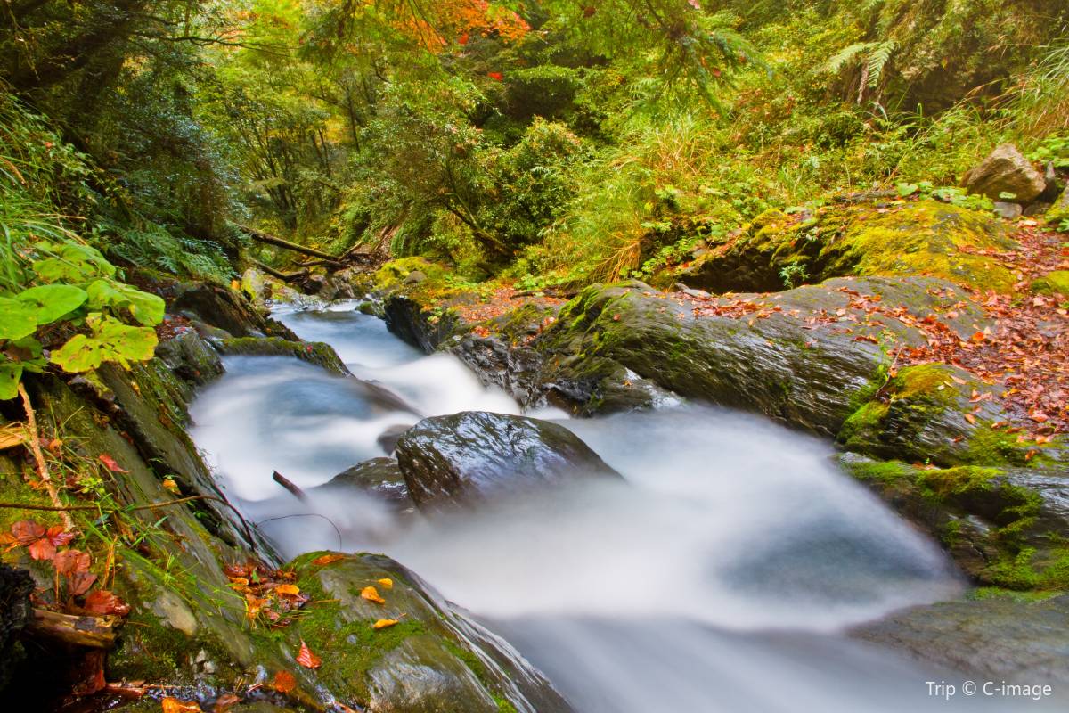 壯麗峽谷景觀，大理石斷崖與步道。