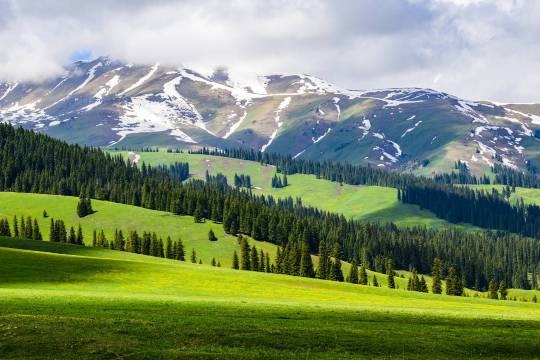 ทุ่งหญ้าน่าลาถี