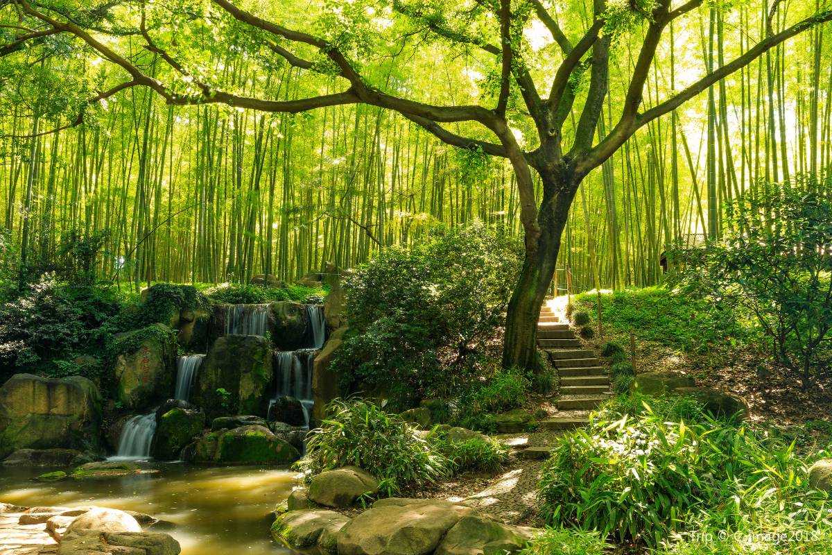 เนินเสือ