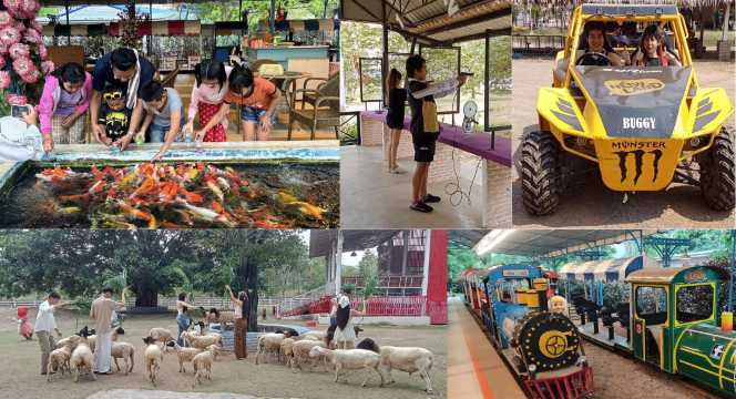 New Land - ที่เที่ยวสวนผึ้ง