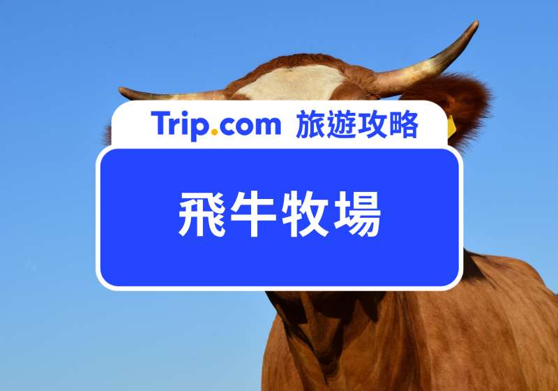飛牛牧場