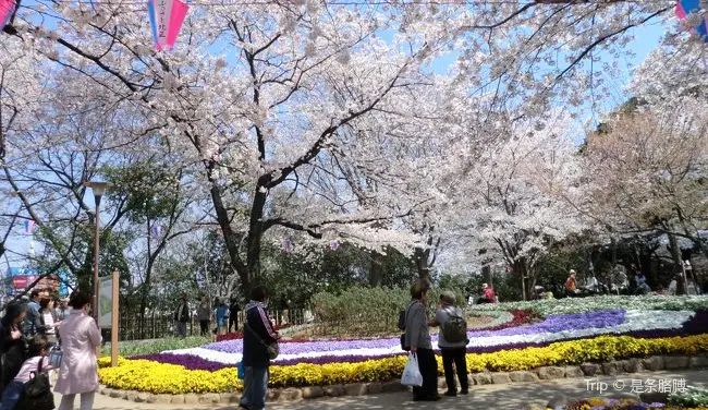 飛鳥山公園