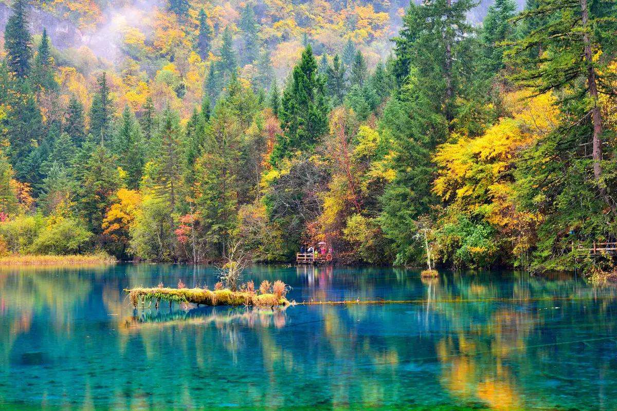 九寨溝景點｜九寨溝旅遊季節