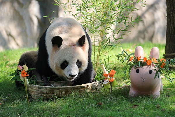 上海野生動物園