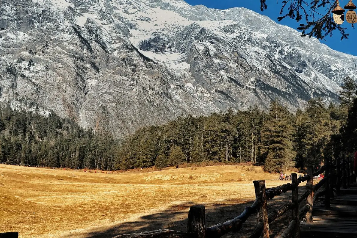 ทุ่งหญ้าหยุนซันผิง 