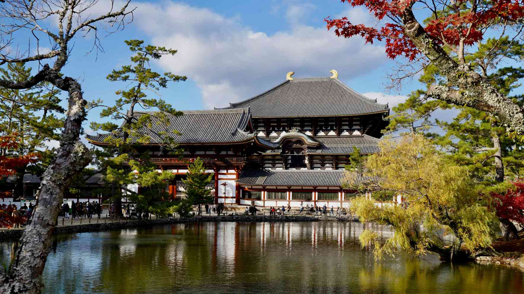 나라 당일치기 경비 