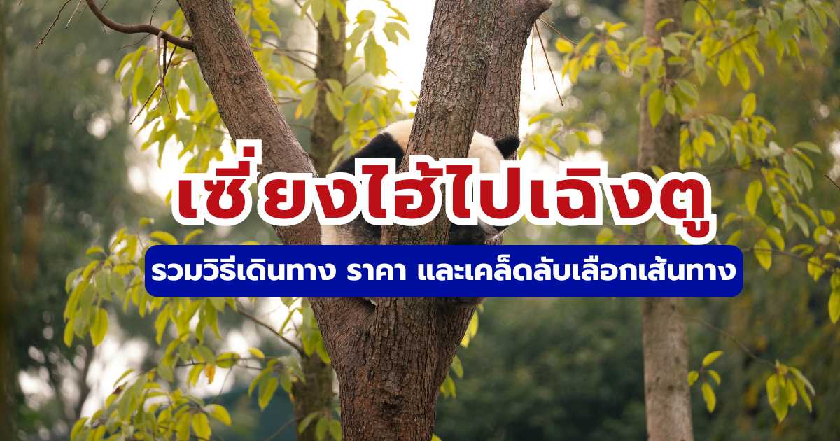 วิธีเดินทางจากเซี่ยงไฮ้ไปเฉิงตู 2569 เทียบเครื่องบิน vs รถไฟความเร็วสูง | Trip.com