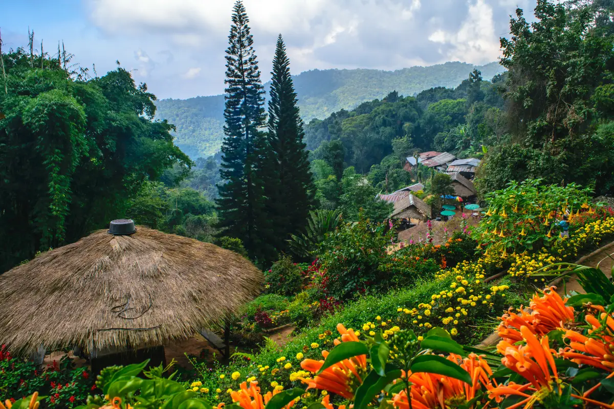 หมู่บ้านชาวเขาเผ่าม้งดอยปุย