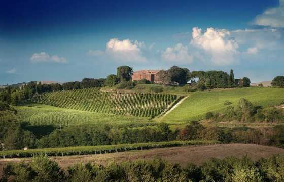 토스카나 와이너리 투어 몬탈치노