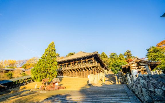 วัดโทไดจิ (Todaiji)