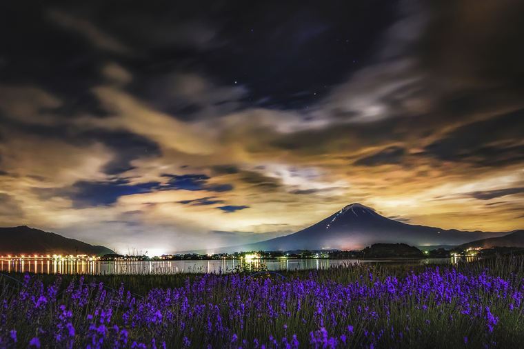 Mount Fuji glowing above Lake Kawaguchi and lavender fields at night