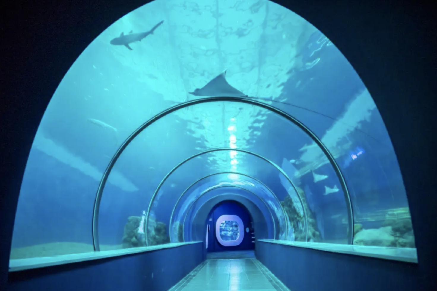 澎湖水族館必看