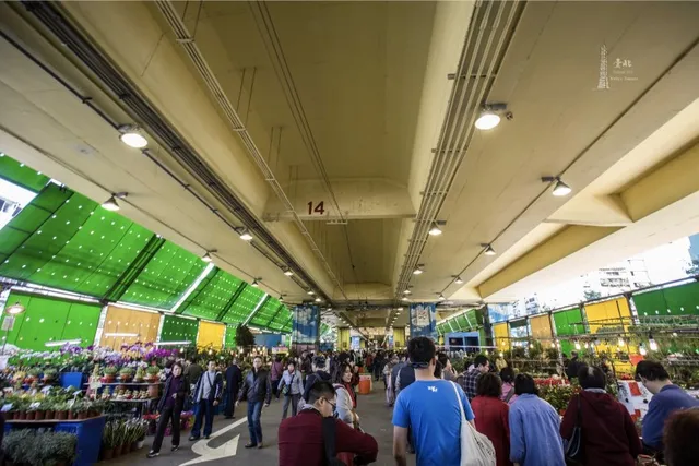 shopping at Jianguo Holiday Flower Market