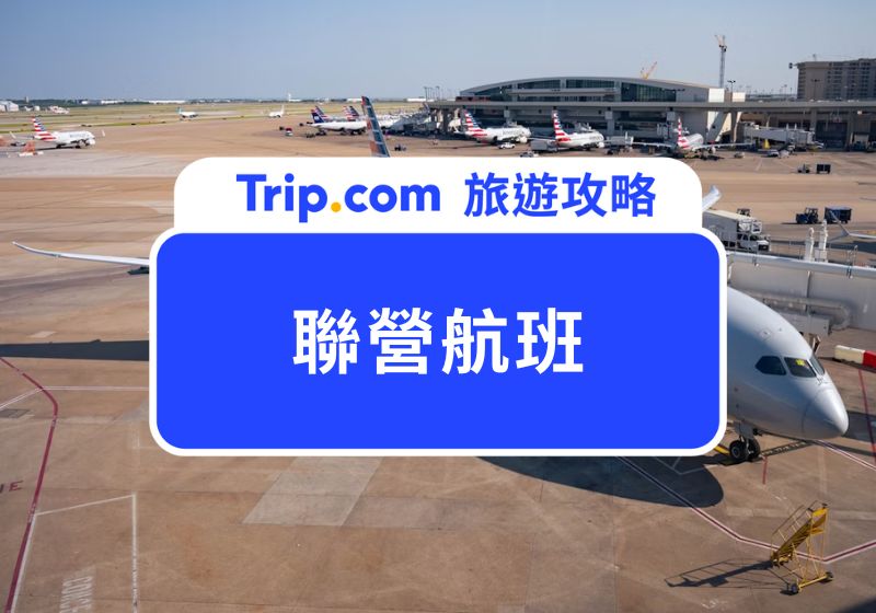 聯營航班完全攻略:搞懂航班運作方式、旅客權益與訂機票眉角