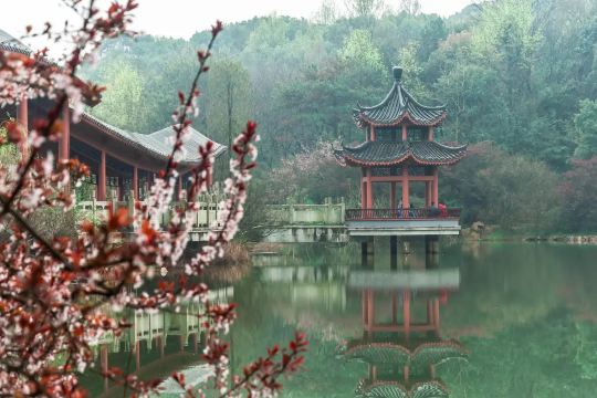 嶽麓山
