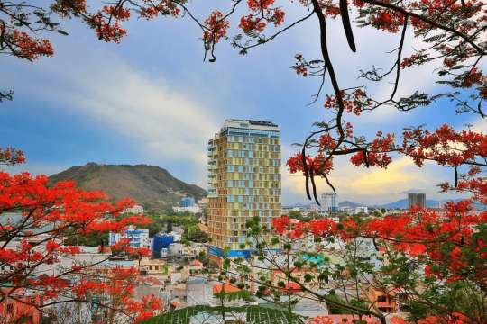 Nên đặt khách sạn ở khu vực nào tại Vũng Tàu sau khi đến?