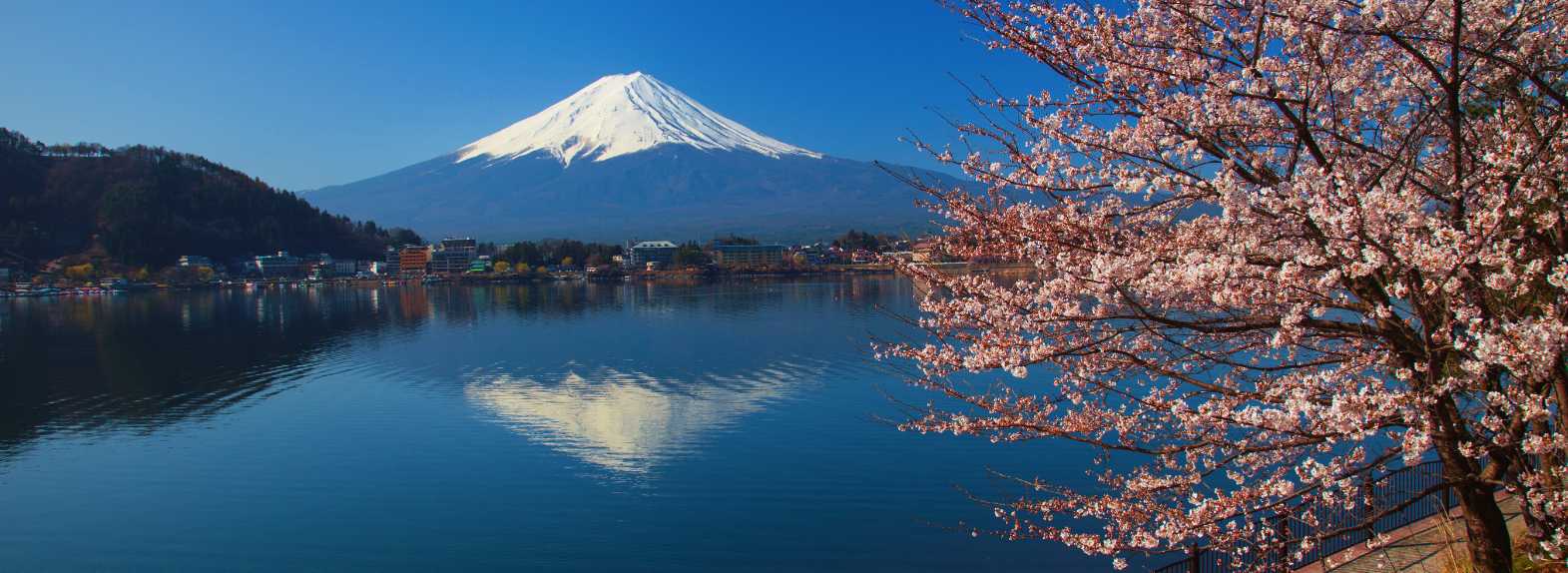 Monte Fuji reflejado en un lago con cerezos en flor durante la primavera en Japón