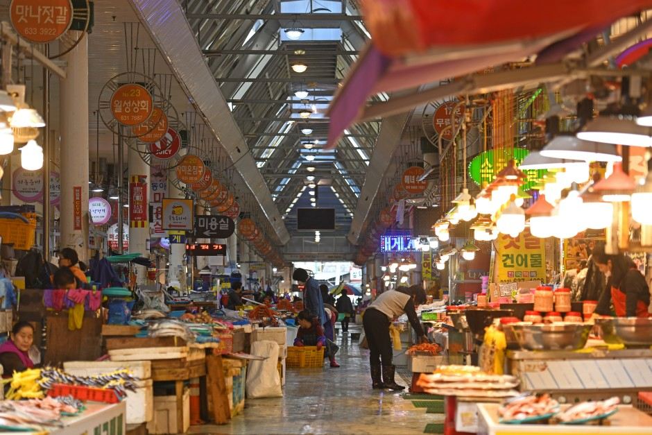 속초 여행 코스, 속초 관광수산시장