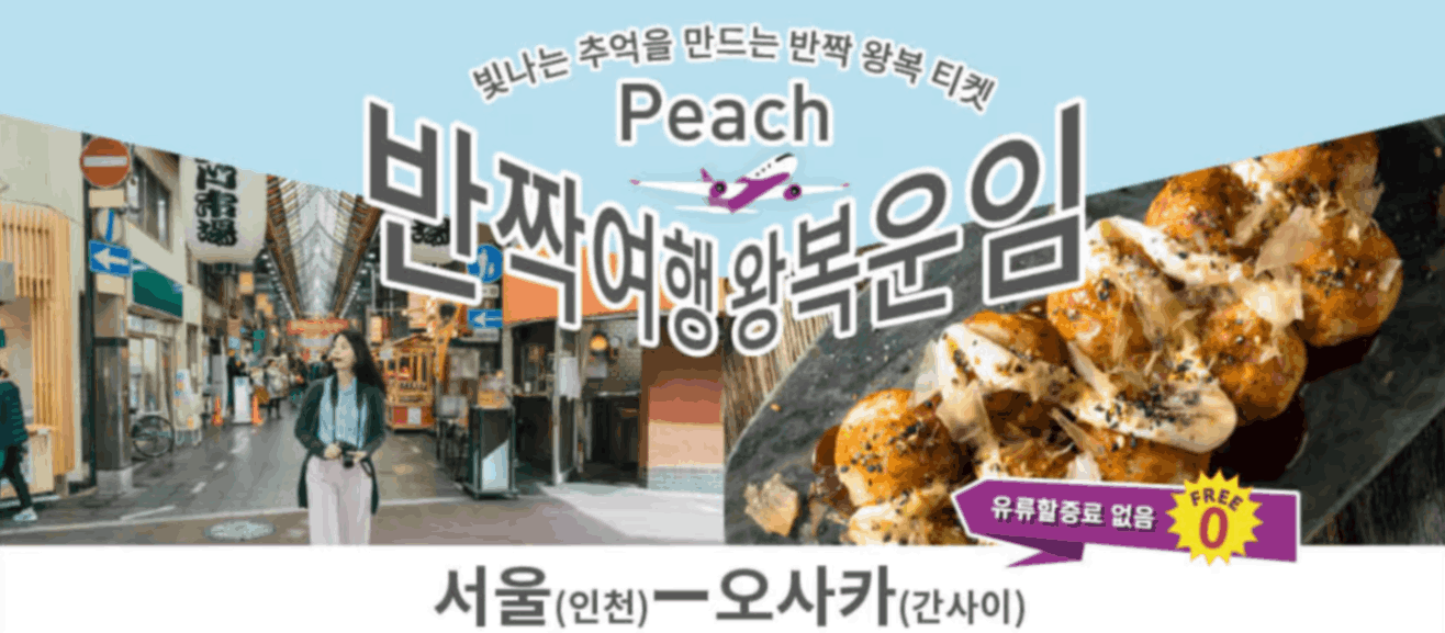 피치항공3