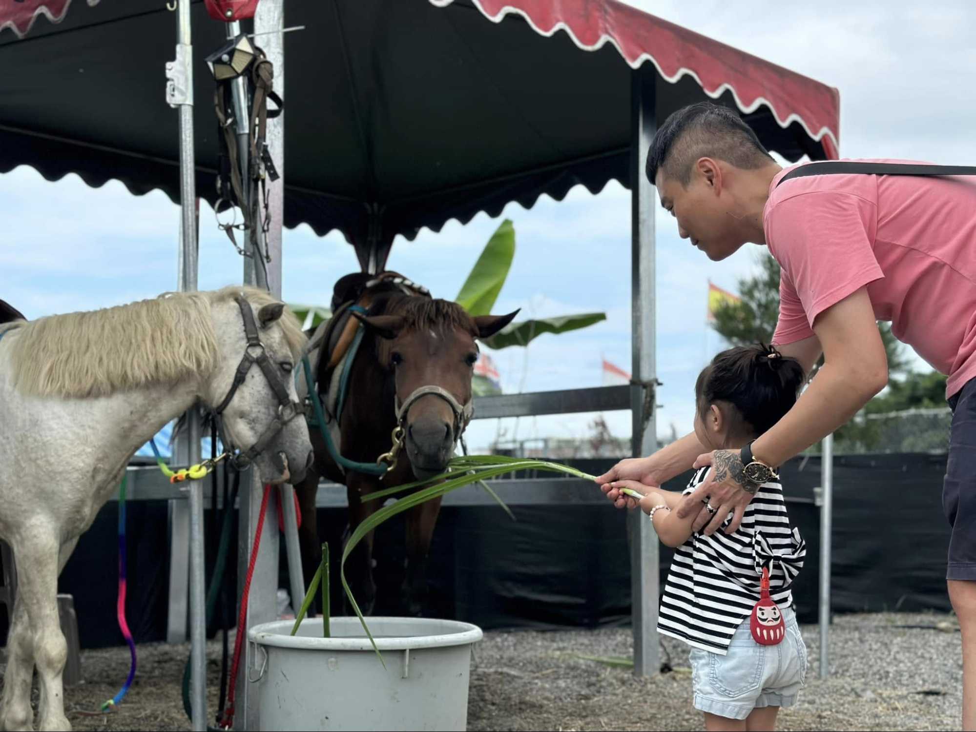 宜蘭農場｜柯爺爺農場
