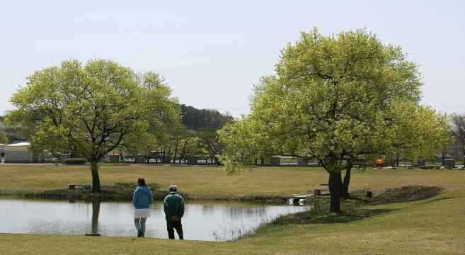 당일 여행 추천, 익산