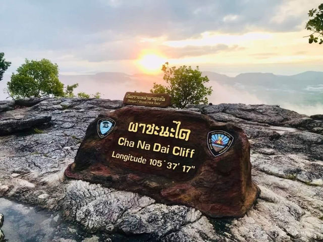 ผาชะนะได