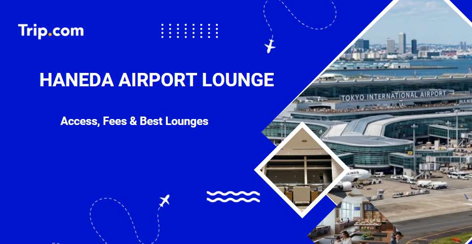 Haneda Airport Lounges: Guide to Lounges, Access, and Fees | Trip.com