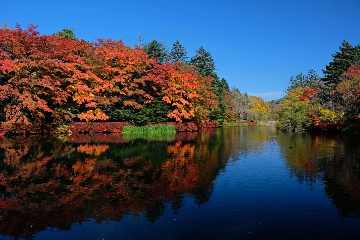 輕井澤景點 #5 雲湯池(雲場池)📍舊輕井澤區