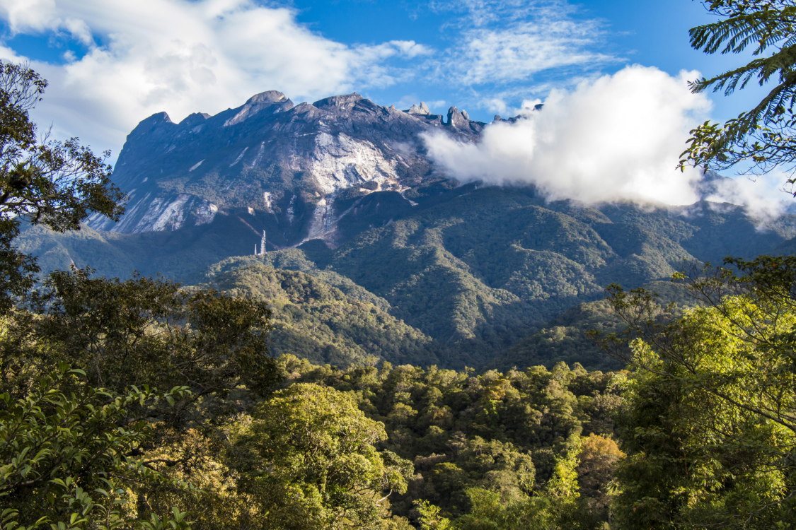 Mount Kinabalu in the distance towering over the other mountains