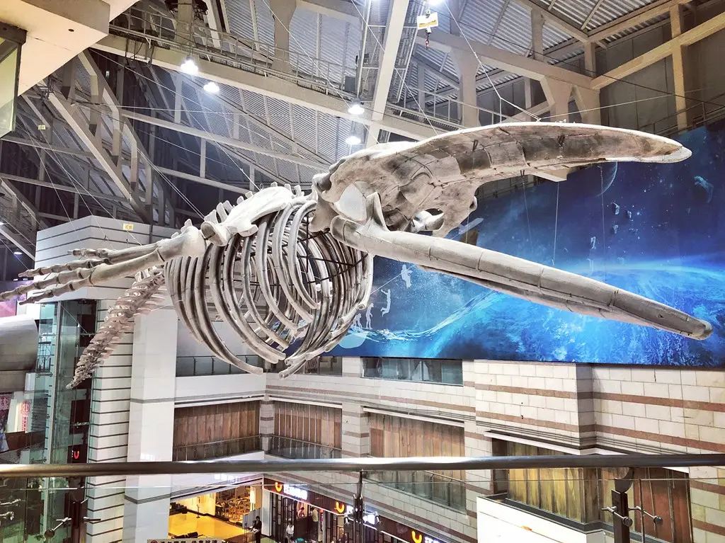 正佳自然科學博物館