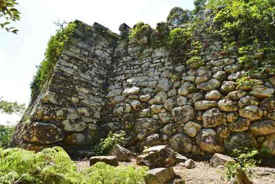 대마도 벚꽃 명소, 가네다 성터
