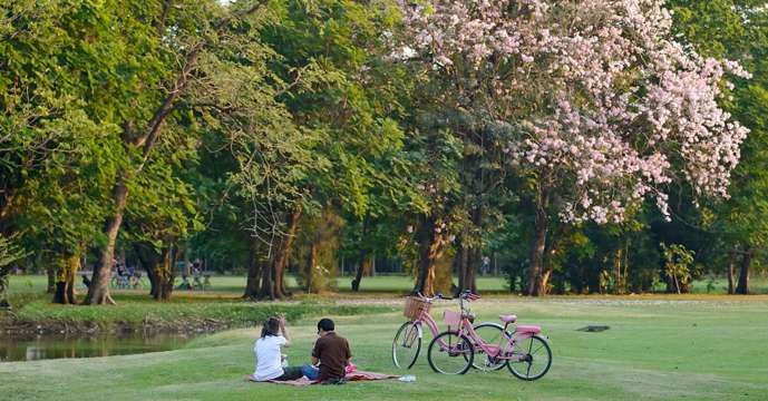 ปูเสื่อนั่งพักแบบปิกนิก