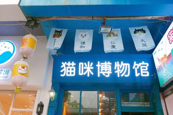 廈門貓咪博物館