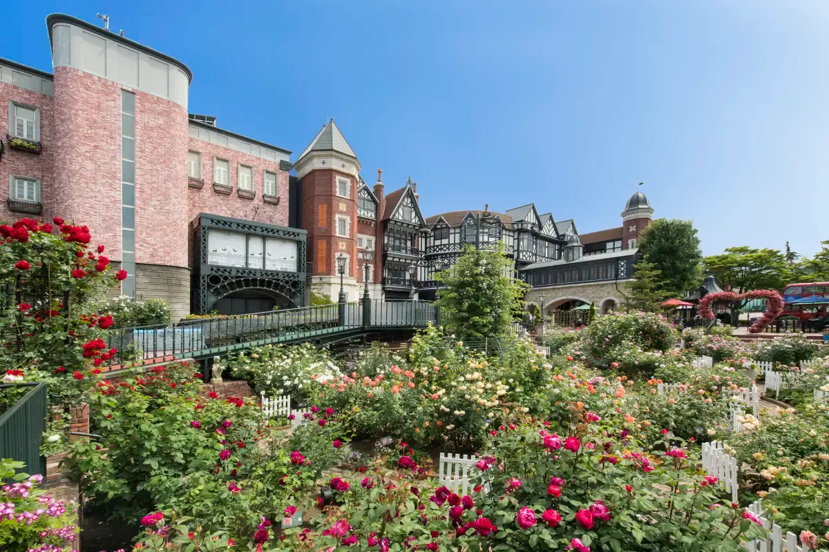 สวนชิโรอิโคอิบิโตะ