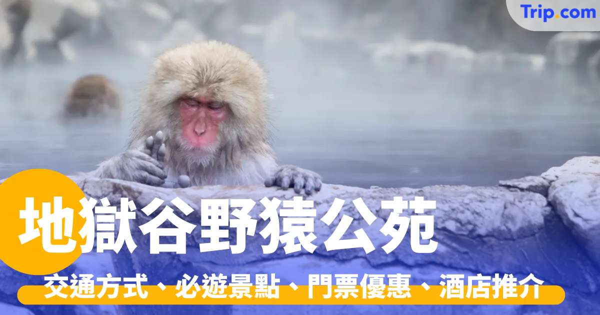 地獄谷野猿公苑 2026 超萌雪猴泡湯！必看奇景與打卡攻略 | Trip.com