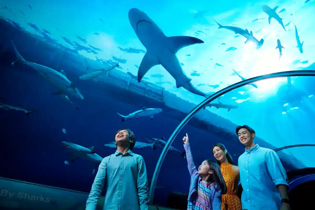 S.E.A Aquarium