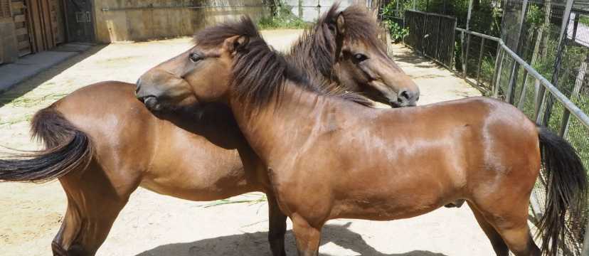 오키나와 어린이나라 체험