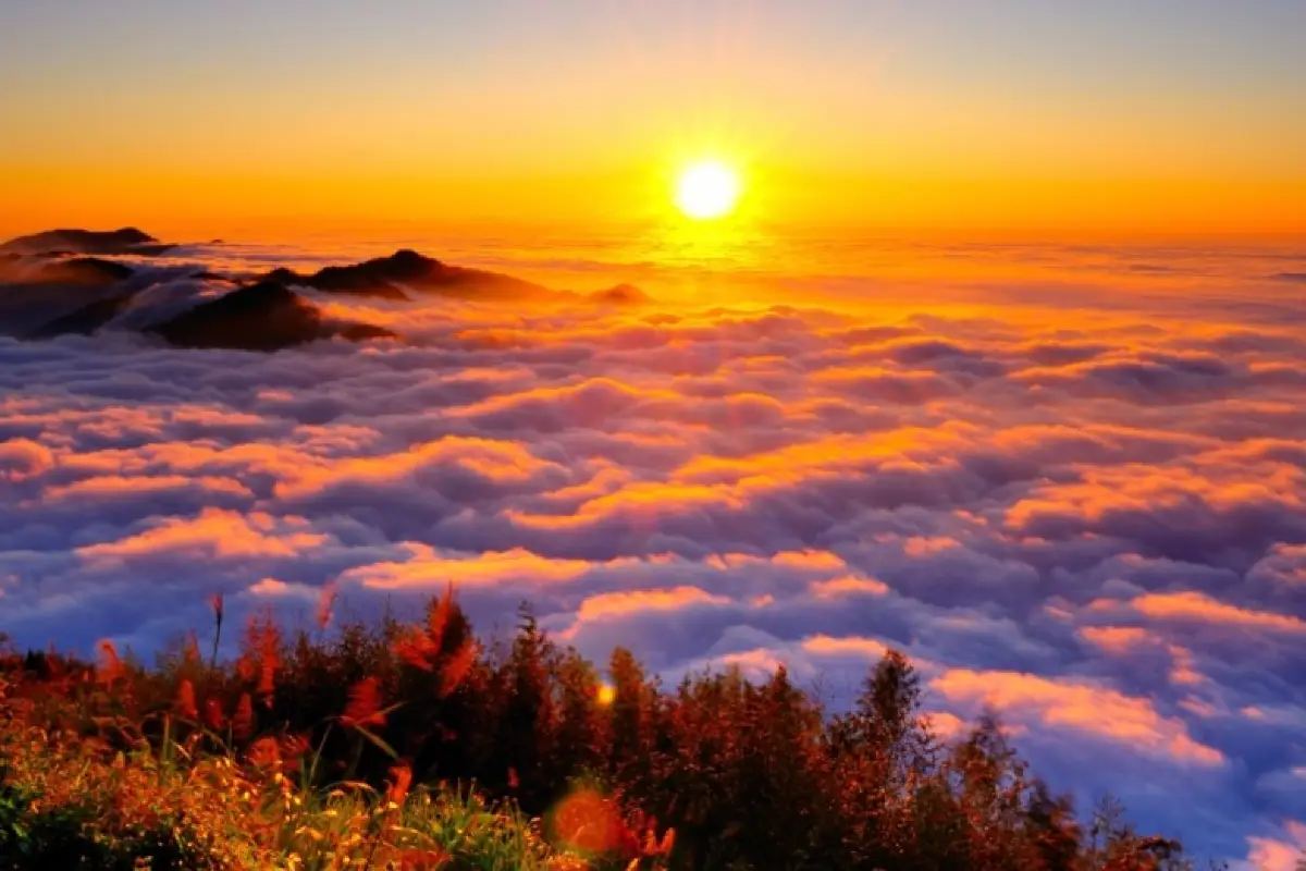 阿里山國家森林遊樂區