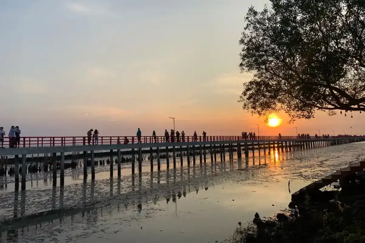 สะพานแดง จุดชมวิวปลาโลมา