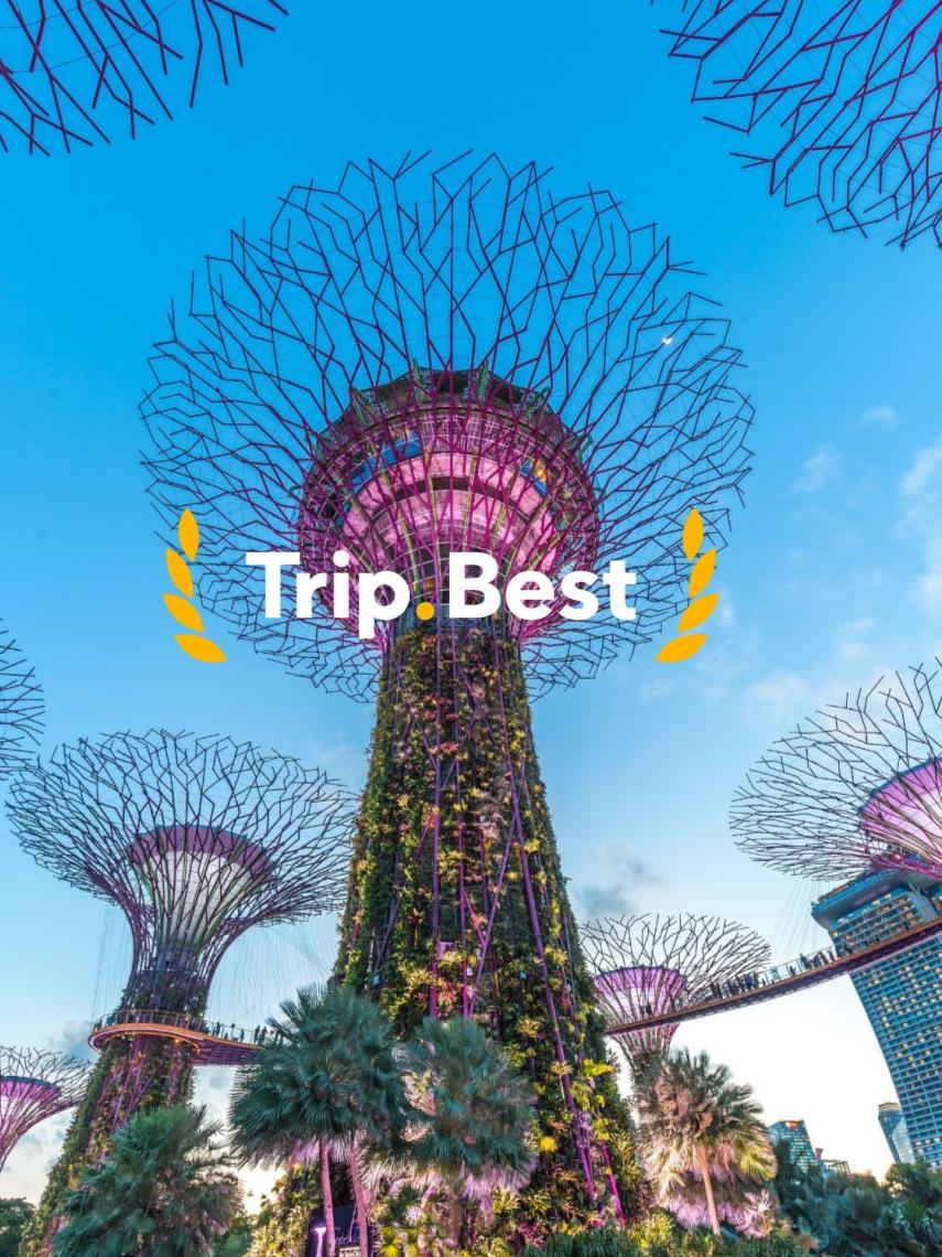 best-of-Singapore