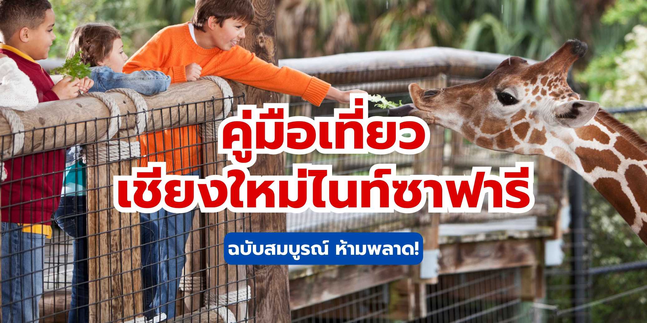 เชียงใหม่ไนท์ซาฟารี 2569 สวนสัตว์กลางคืนสุดตื่นตาตื่นใจ | Trip.com