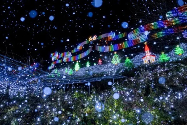 光之花庭園燈光秀